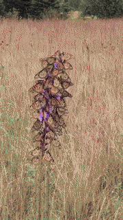 Acid GIFs, August 18 (25 gifs)