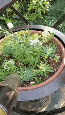 Acid GIFs, August 18 (25 gifs)