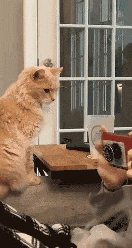 Acid GIFs, August 18 (25 gifs)
