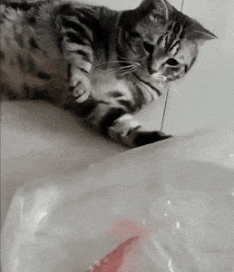 Acid GIFs, August 18 (25 gifs)