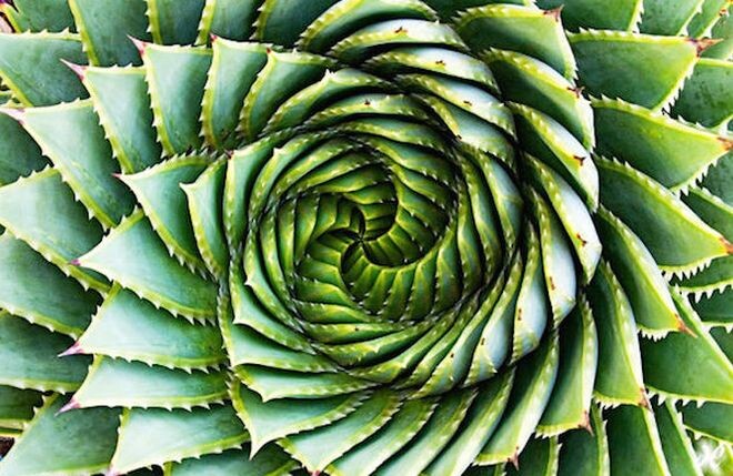Photos For Perfectionists (25 pics)