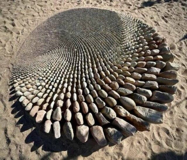 Photos For Perfectionists (25 pics)
