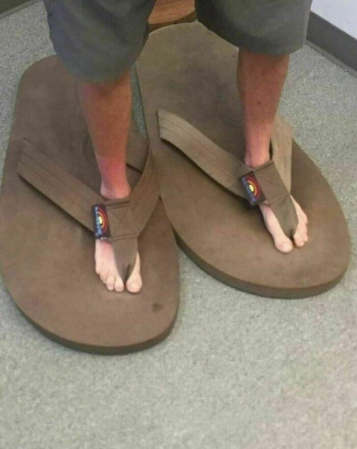 What Is Going On Here? (14 pics)