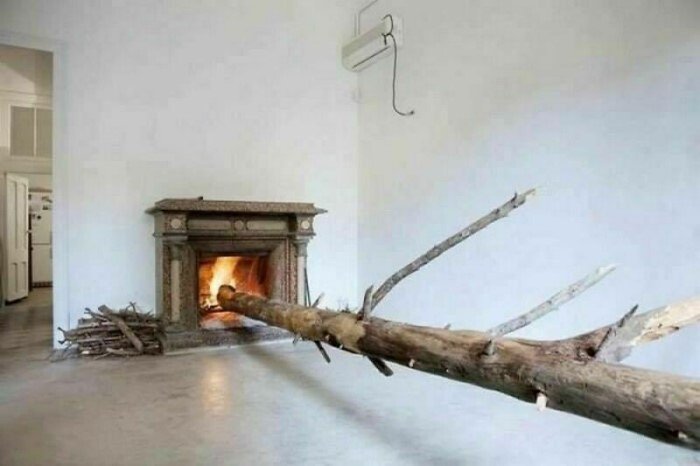 What Is Going On Here? (14 pics)