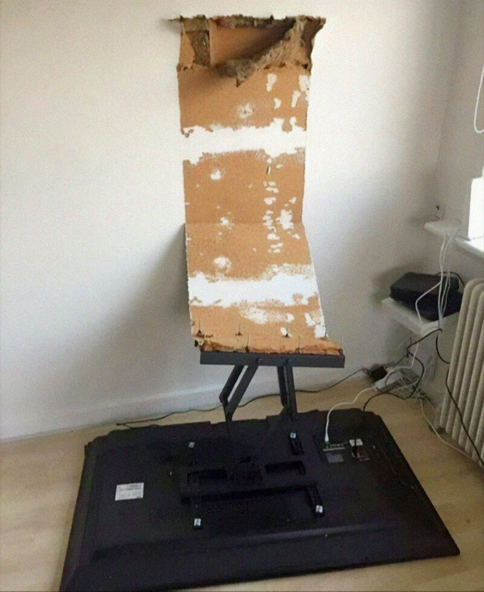 What Is Going On Here? (14 pics)