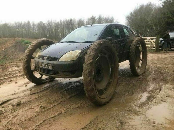 What Is Going On Here? (14 pics)