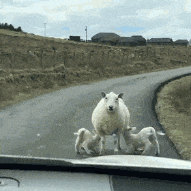 Acid GIFs, August 19 (25 gifs) Acid GIFs, August 19 (25 gifs)