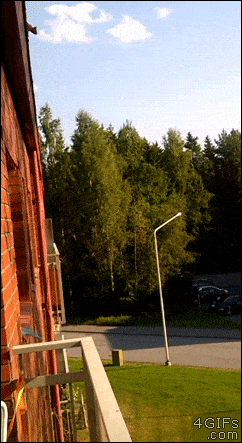 Acid GIFs, August 19 (25 gifs) Acid GIFs, August 19 (25 gifs)