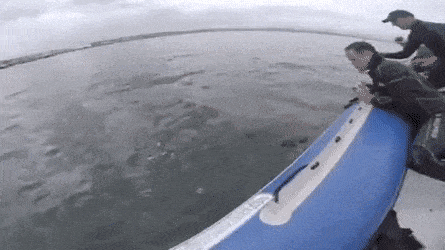 Acid GIFs, August 19 (25 gifs) Acid GIFs, August 19 (25 gifs)