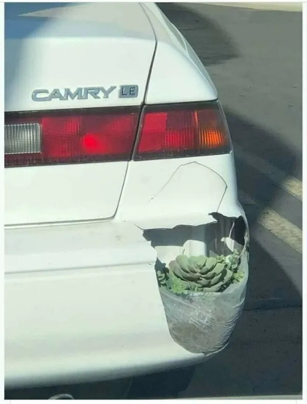 Strange DIY Crafts (25 pics)