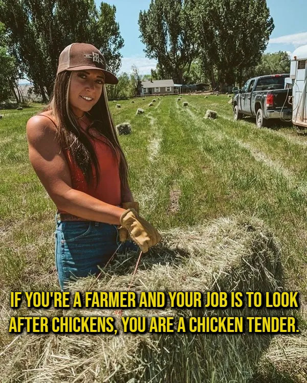Weird Thoughts (17 pics)