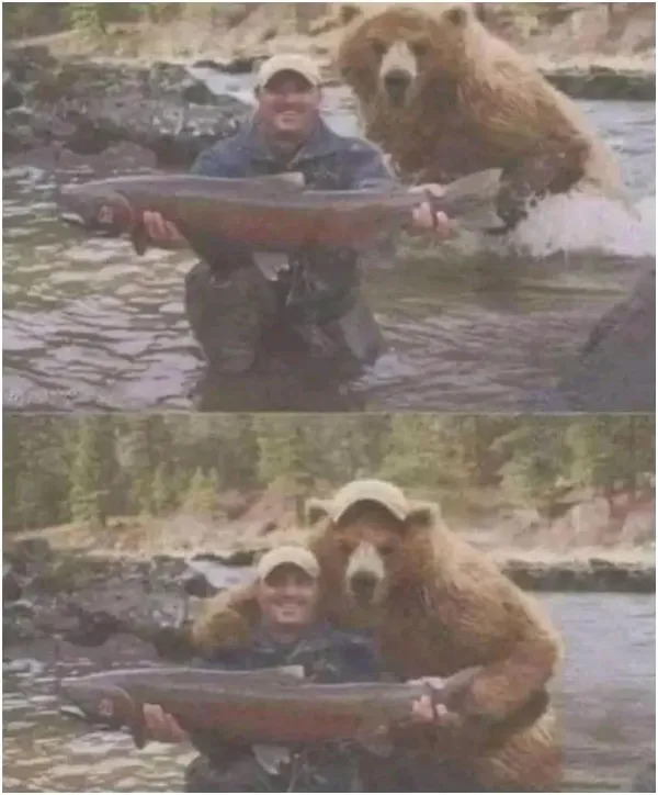 What Is Going On Here? (25 pics)