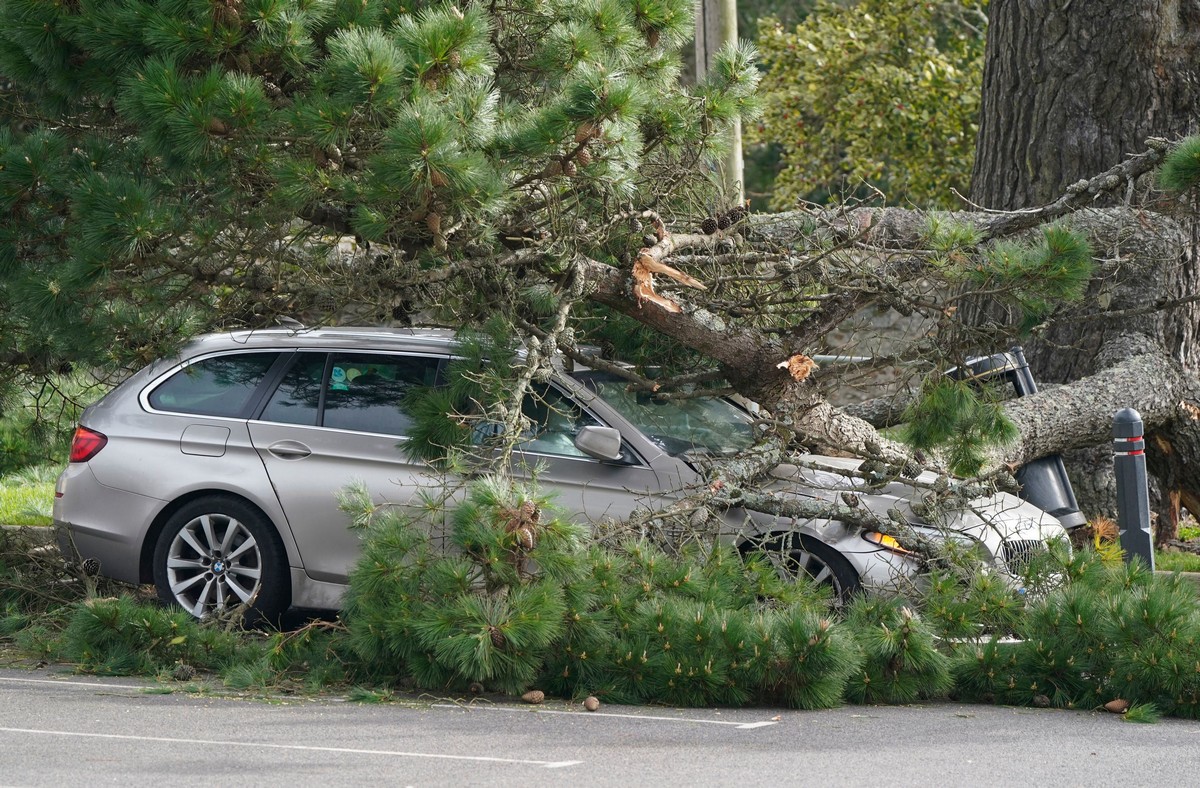Bad Days Happen (25 pics) Bad Days Happen (25 pics)