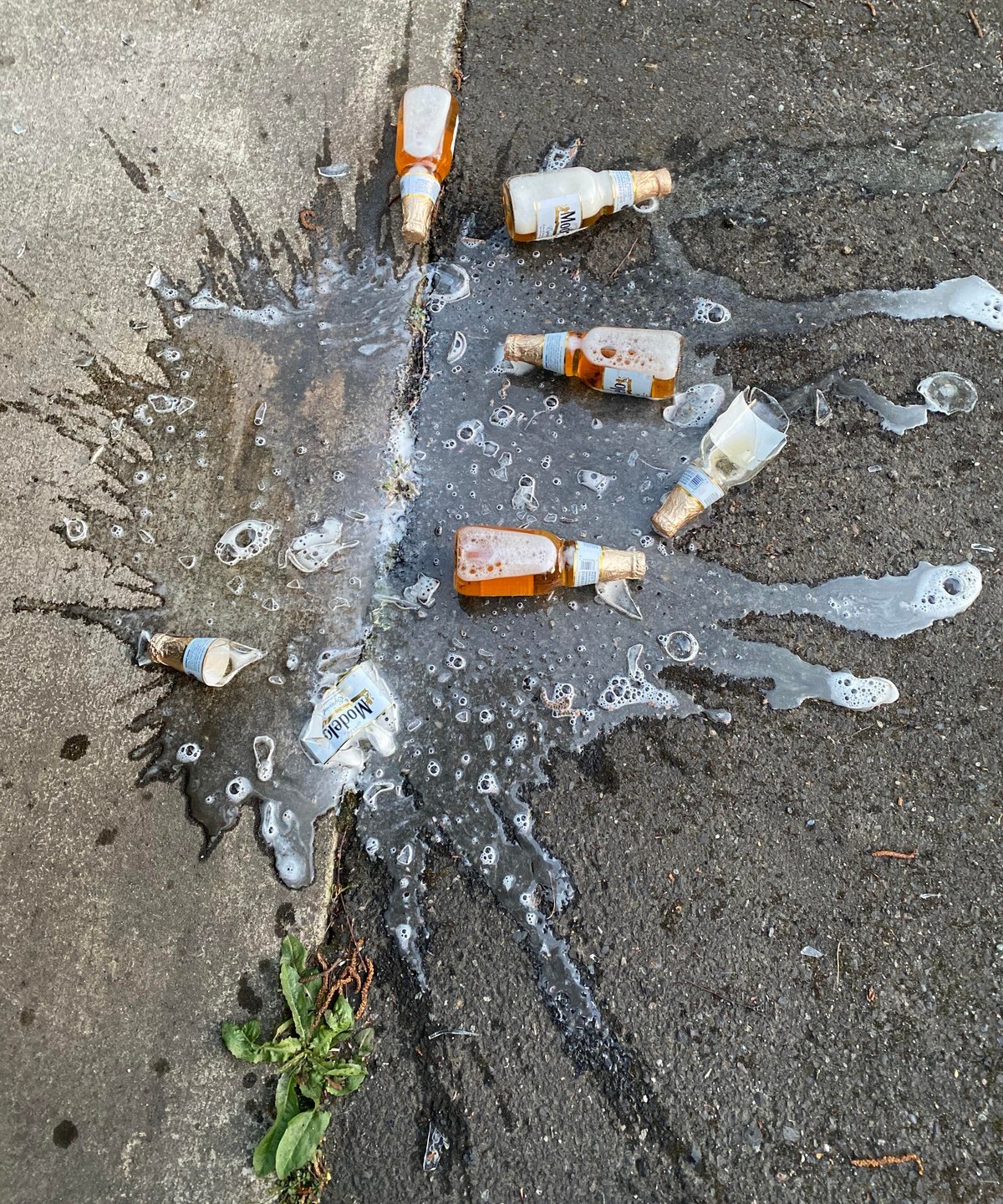 Bad Days Happen (25 pics)