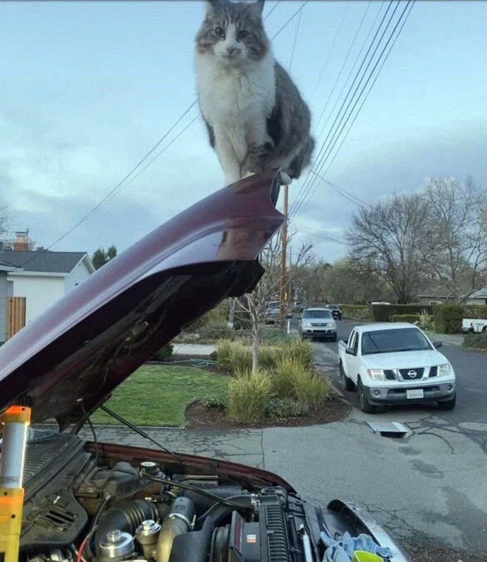 Daily Pictures. Part 1 (76 pics)