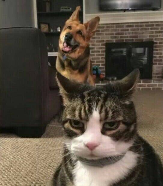 Daily Pictures. Part 2 (75 pics)