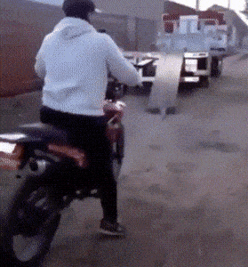 Acid GIFs, August 20 (25 gifs)