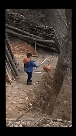 Acid GIFs, August 20 (25 gifs)