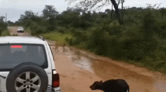 Acid GIFs, August 20 (25 gifs)