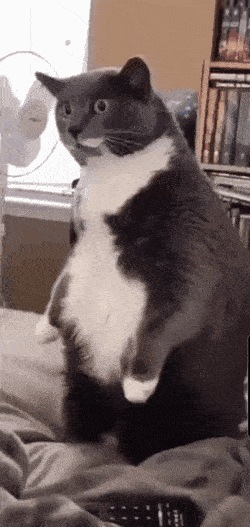 Acid GIFs, August 20 (25 gifs)