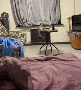 Acid GIFs, August 20 (25 gifs)