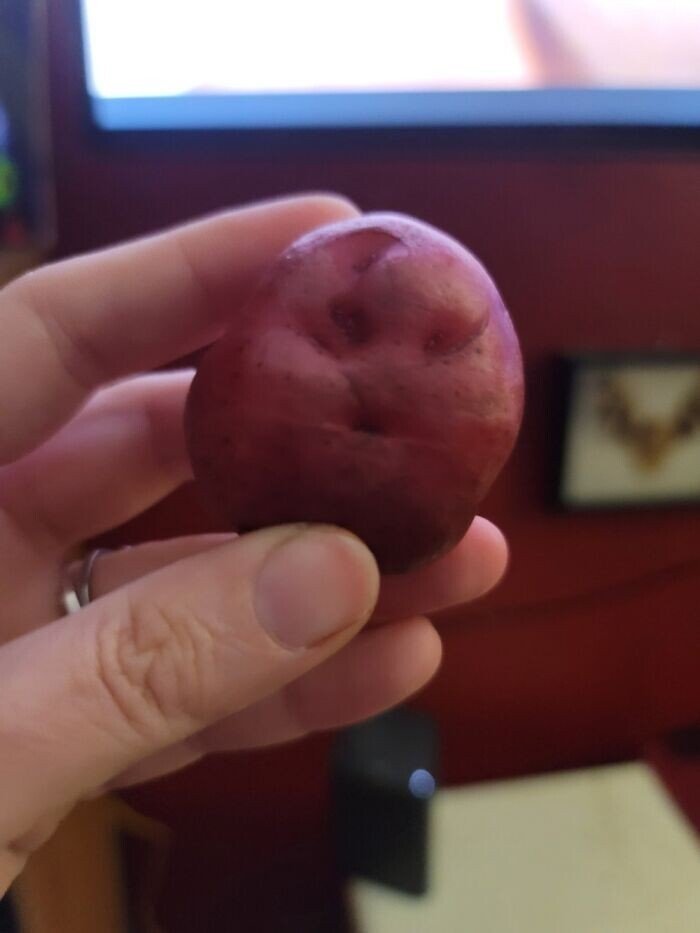 This Is Pareidolia (23 pics) This Is Pareidolia (23 pics)