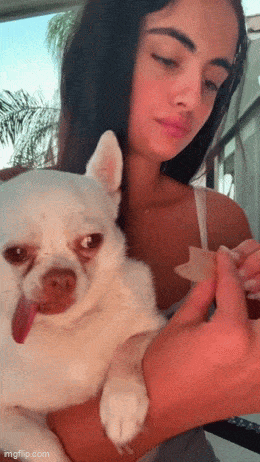 Acid GIFs, August 21 (25 gifs) Acid GIFs, August 21 (25 gifs)