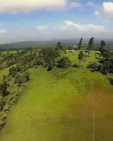 Acid GIFs, August 21 (25 gifs) Acid GIFs, August 21 (25 gifs)