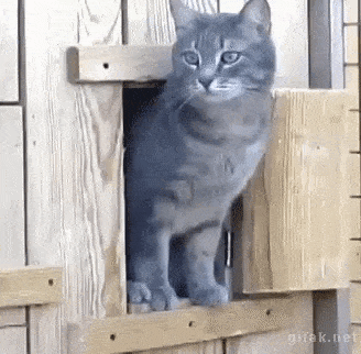 Acid GIFs, August 21 (25 gifs) Acid GIFs, August 21 (25 gifs)