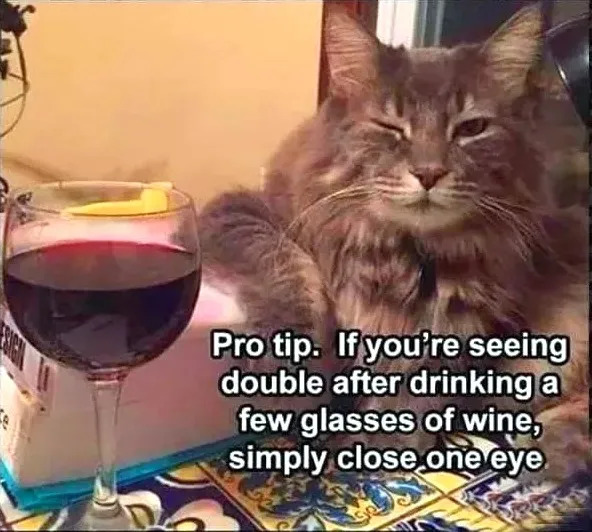 Memes About Alcohol (19 pics)
