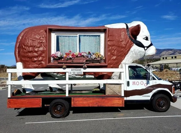 Crazy Tuning (25 pics) Crazy Tuning (25 pics)