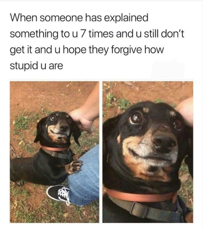 Random Memes (23 pics)