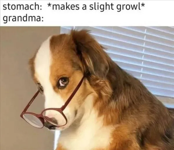 Truthful Memes (25 pics) Truthful Memes (25 pics)