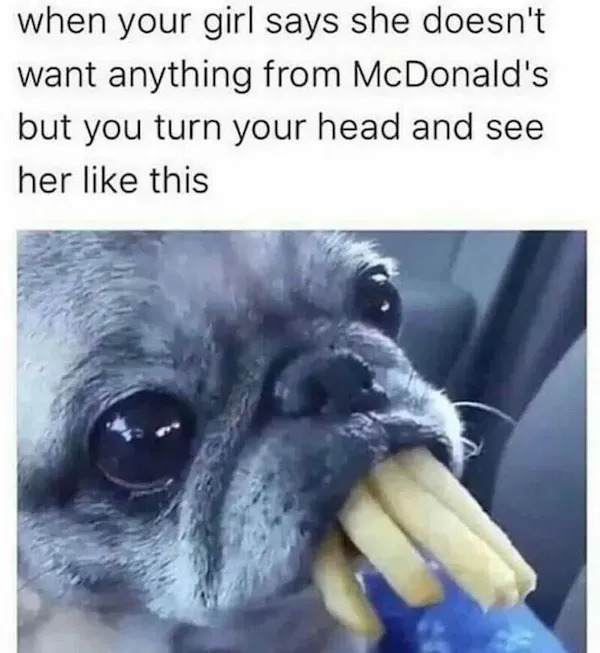 Truthful Memes (25 pics) Truthful Memes (25 pics)