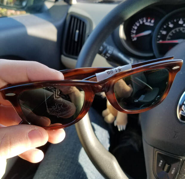 Cool Finds In Thrift Shops (19 pics) Cool Finds In Thrift Shops (19 pics)