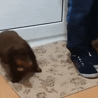 Acid GIFs, August 24 (25 gifs)