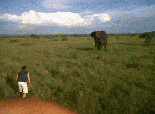 Acid GIFs, August 24 (25 gifs)