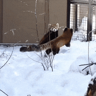 Acid GIFs, August 24 (25 gifs)
