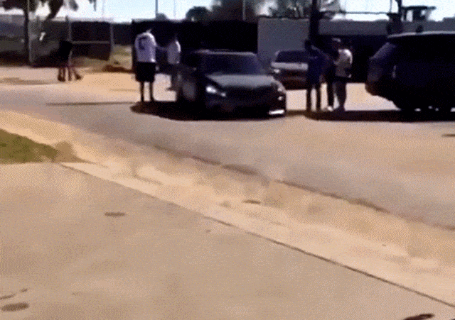 Acid GIFs, August 24 (25 gifs)