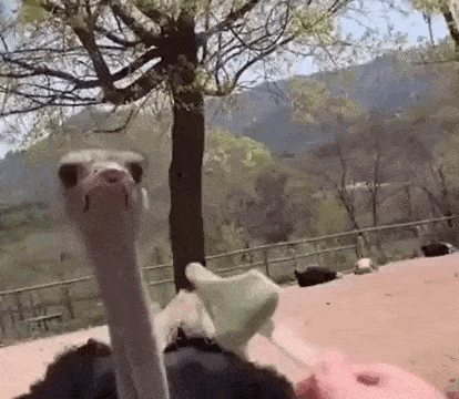 Acid GIFs, August 24 (25 gifs)