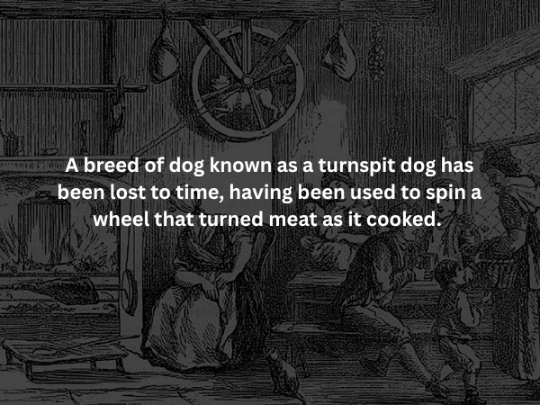 Creepy Facts (15 pics) Creepy Facts (15 pics)