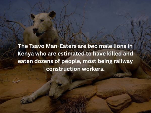 Creepy Facts (15 pics) Creepy Facts (15 pics)