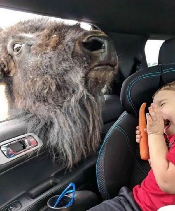Right Moment (21 pics)