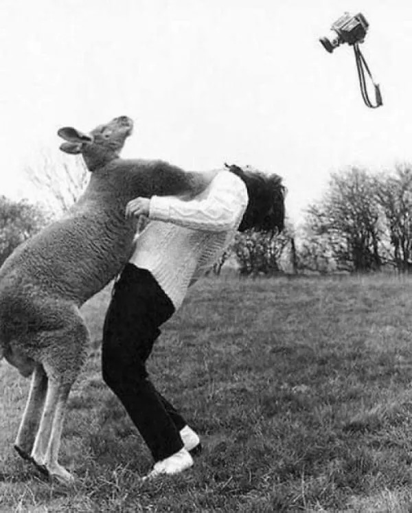 Right Moment (21 pics)