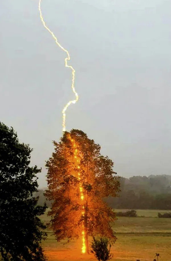 Right Moment (21 pics)