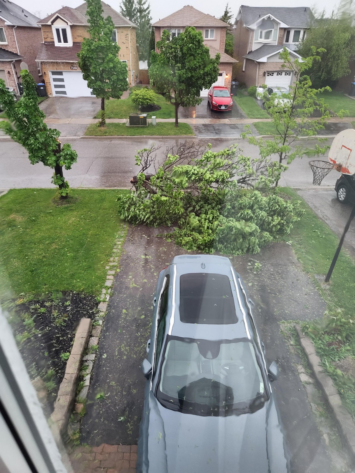 Unfortunate Situations (25 pics)
