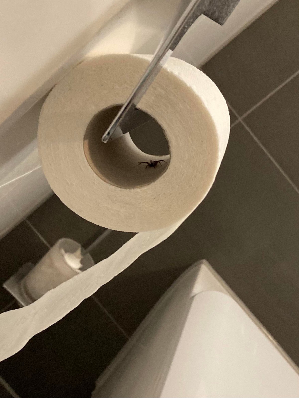 Unfortunate Situations (25 pics)