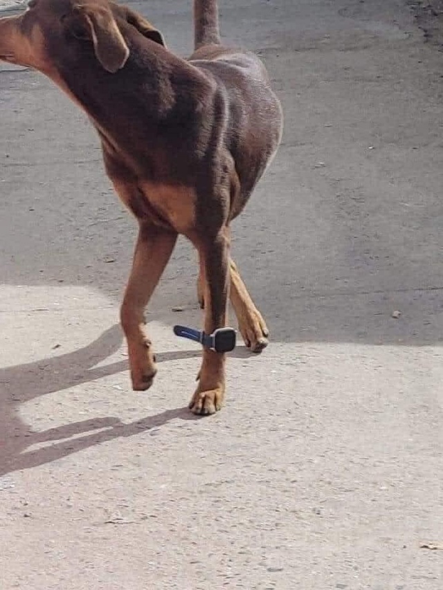 What Is Going On Here? (18 pics)