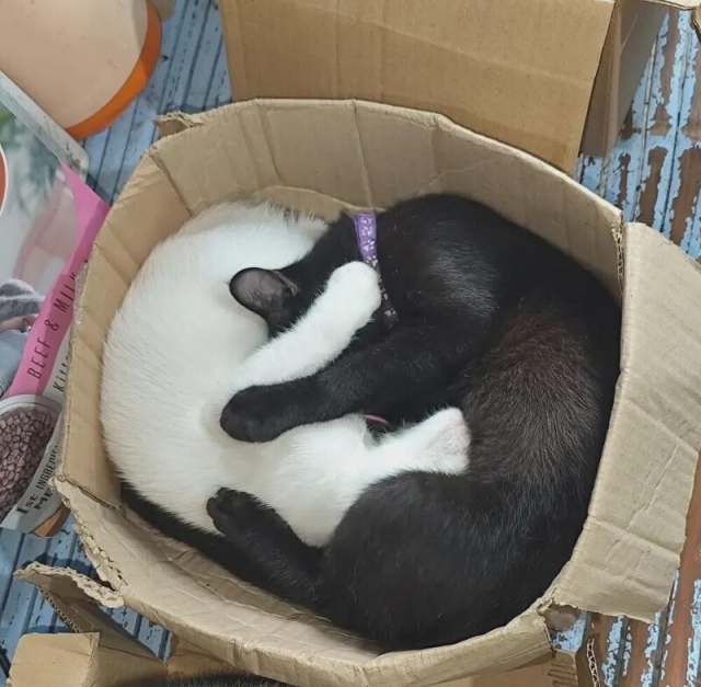 What Is Going On Here? (18 pics)