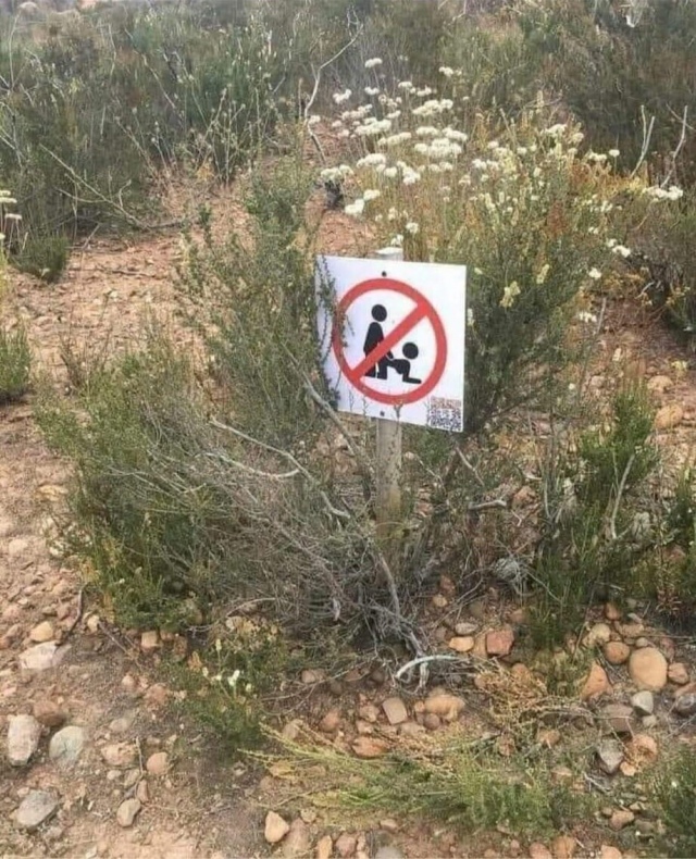 What Is Going On Here? (18 pics)